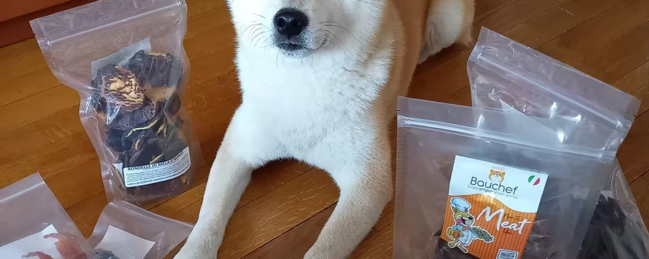 Perché il tuo cane nasconde gli snack?