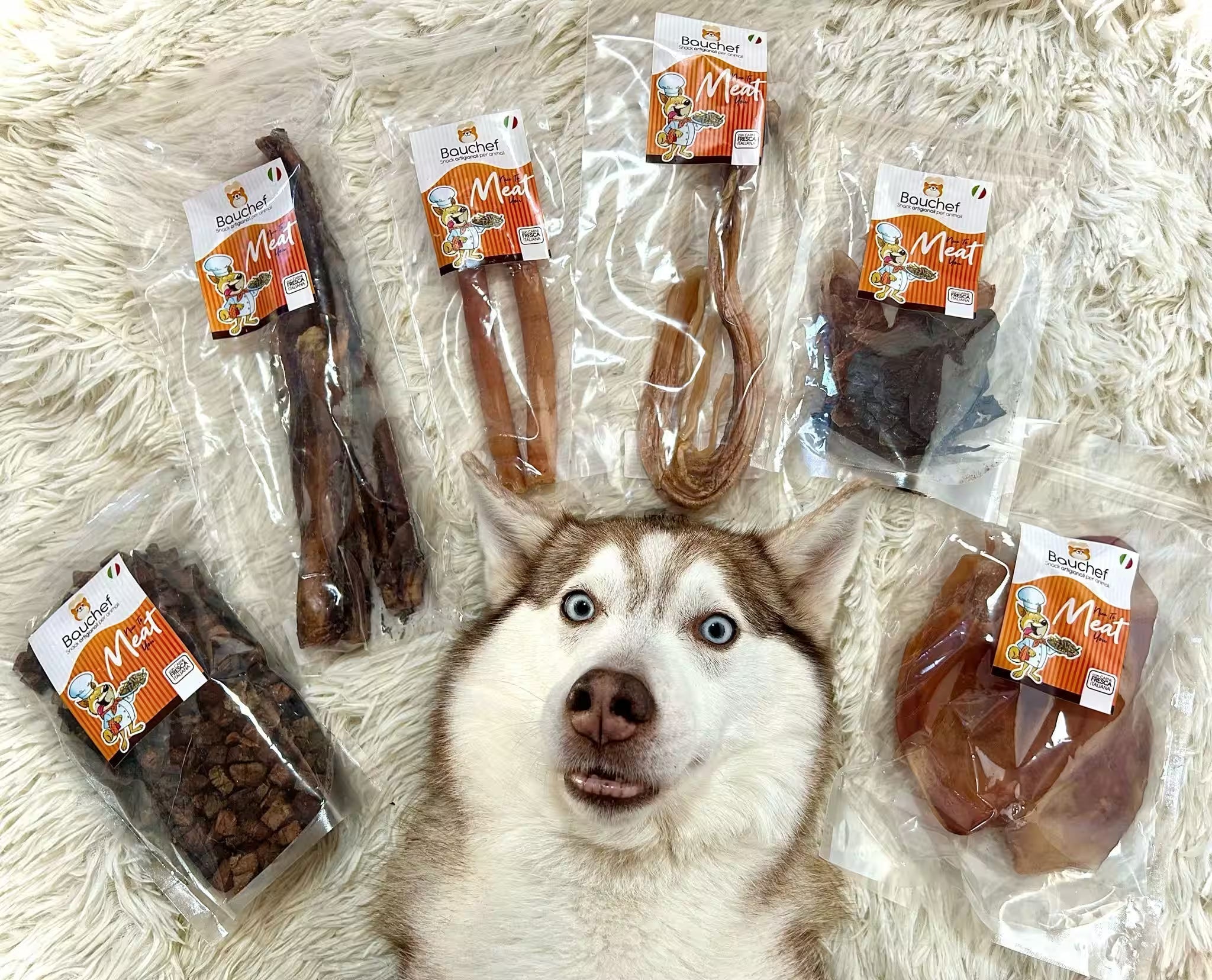 L’importanza di uno snack naturale per cani di qualità e di una corretta alimentazione