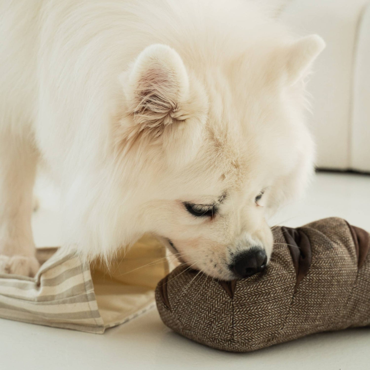 Ciabatta - Gioco di arricchimento per cani