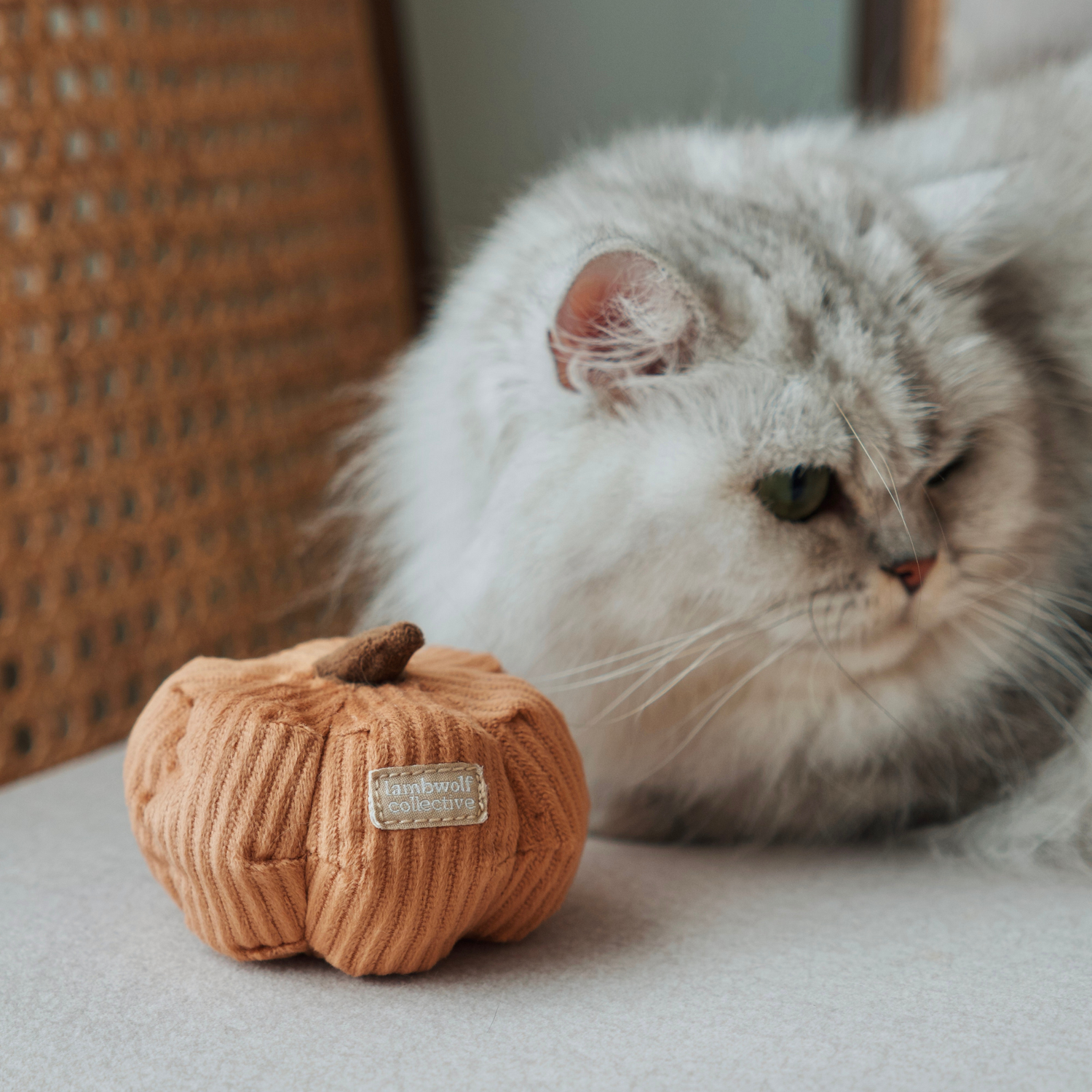 Kitty Veggie - Gioco per gatti con erba gatta