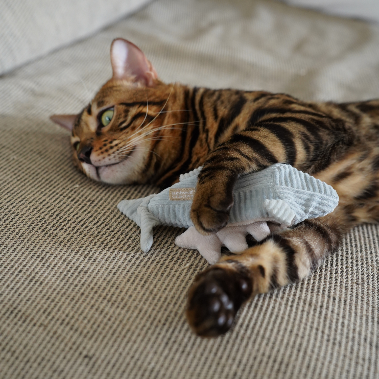 Kitty Trout - Gioco per gatti con erba gatta