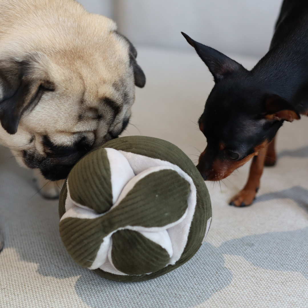Snuffle Ball MONTI - Palla olfattiva per cani