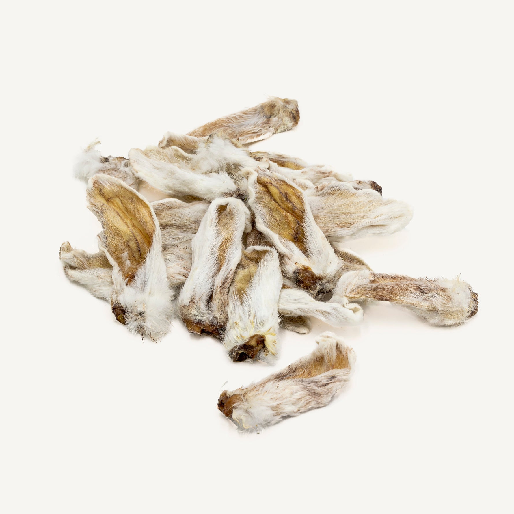 Orecchie di coniglio