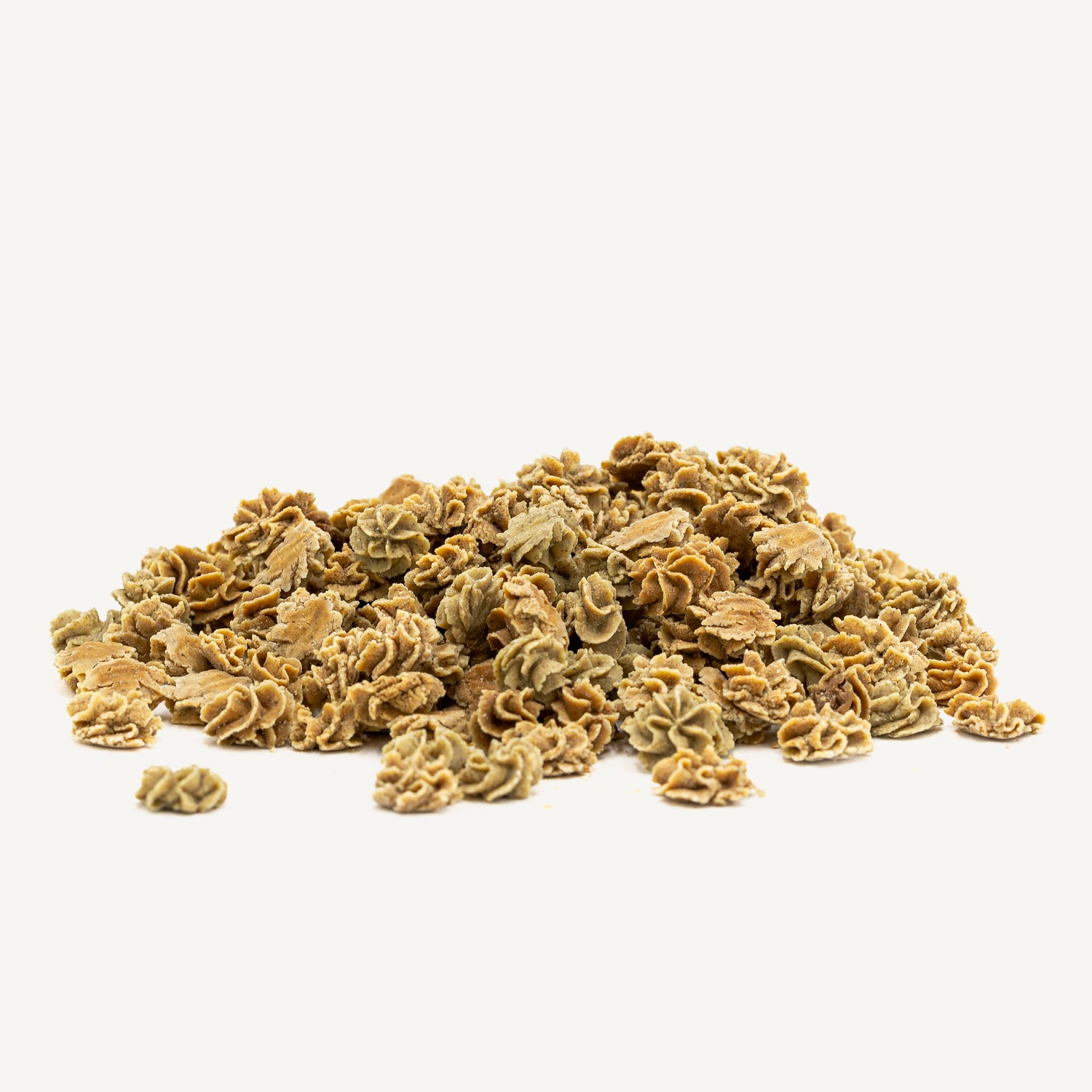 Chicche con farina di grillo